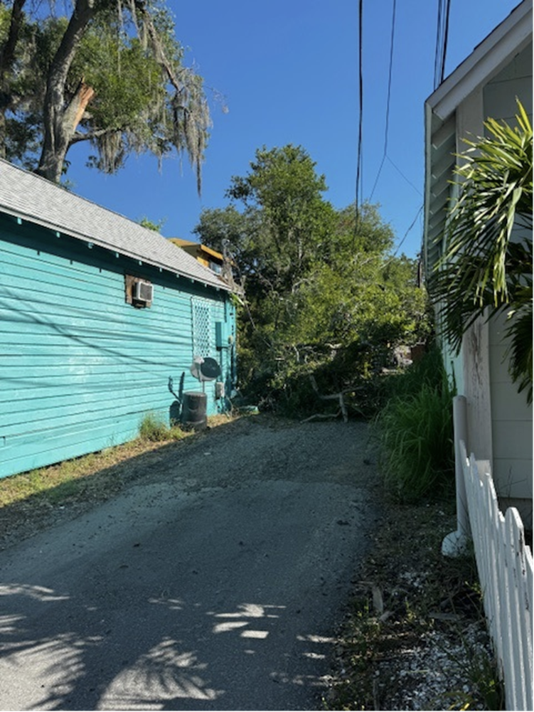 Falling tree damaging power lines