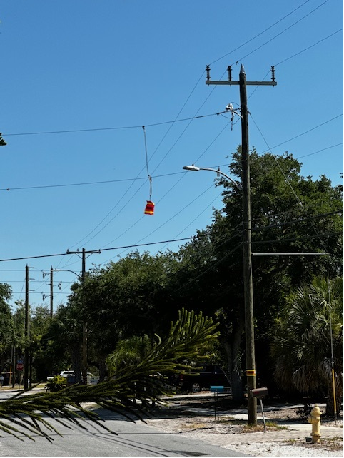 Power lines adjacent to the road